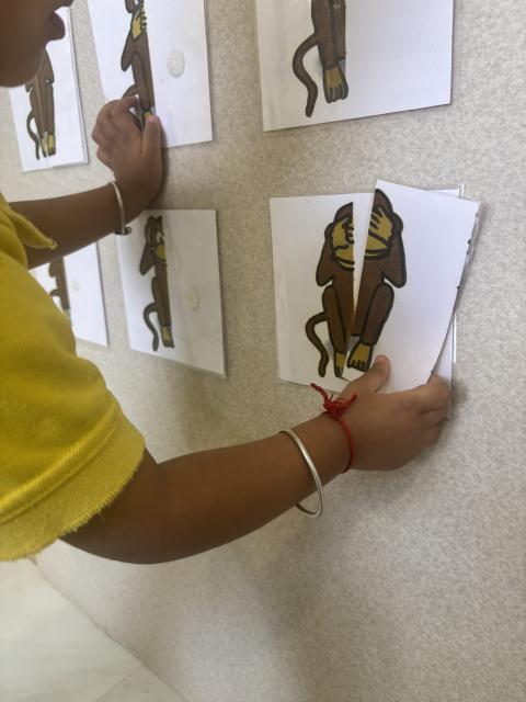 Gandhi's wise monkey puzzle